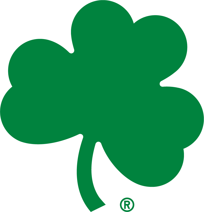 Notre Dame Fighting Irish 2015-Pres Secondary Logo v3 diy iron on heat transfer